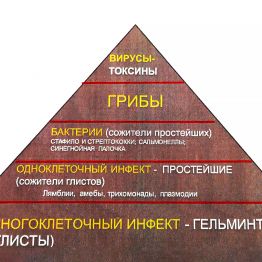 Паразиттердің бар-жоғын қалай білуге болады?