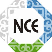 NCE, Национальный центр экспертизы